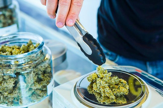 Cannabis wird auf einer Waage abgewogen