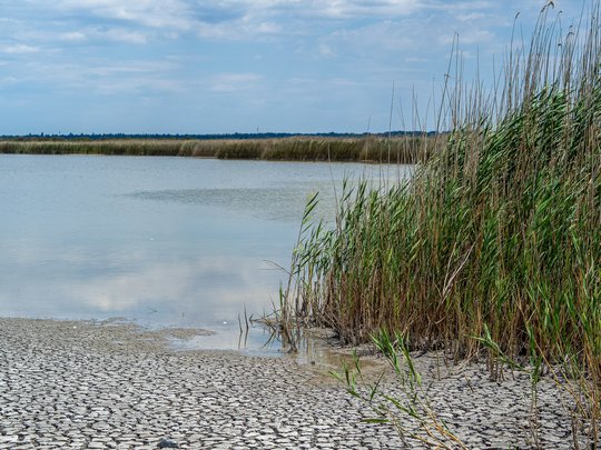 Gewässer mit niedrigem Wasserstand und trockenem Uferbereich mit Schilfgürtel