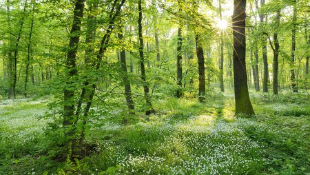 Schwarz-Rot macht für Klimaschutz, Mobilität und Mieter*innen viel zu wenig