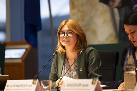 DSie Abgeordnete Marlene Schönberger, sitzend am Tisch, spricht.