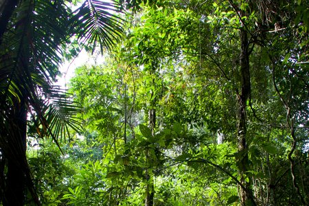 Klimakrise & Klimaschutz: Die Zeit für Ausreden ist vorbei