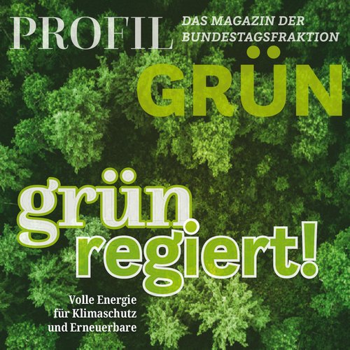 22-07profil-gruen64x64.indd