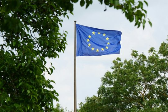Ein Mast mit einer Europaflagge zwischen Bäumen