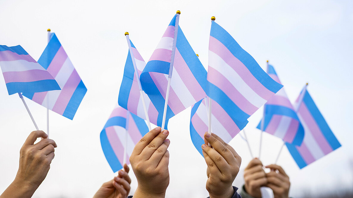 Hände halten kleine Trans-Flaggen in die Höhe.