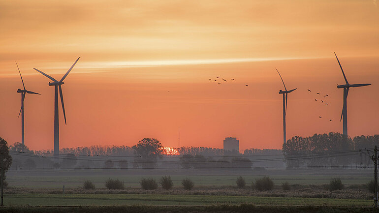 Windenergieanlagen in der Abendsonne. Wir Grüne im Bundestag wollen den Ausbau der erneuerbaren Energien und den Schutz der Arten.