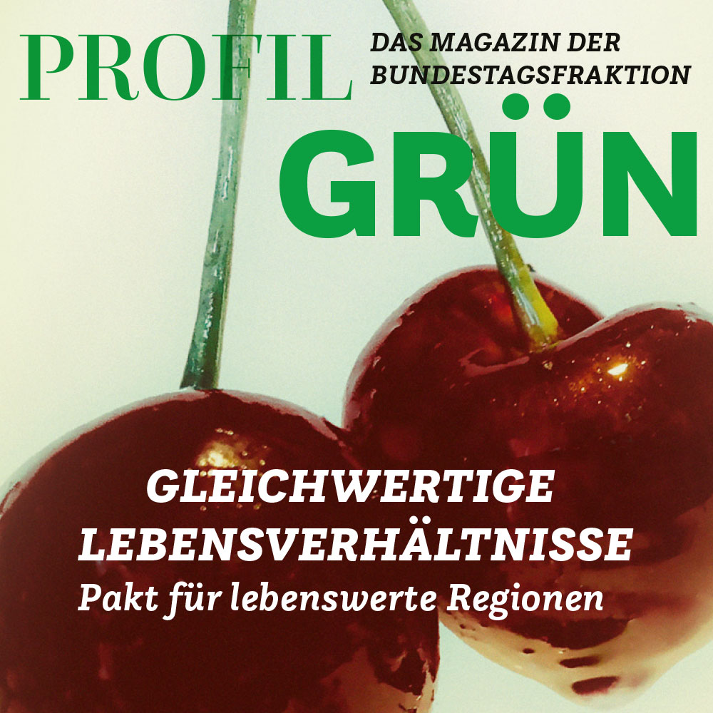 Coverbild des Fraktionsmagazins profil Grün, Ausgabe Gleichwertige Lebensverhältnisse
